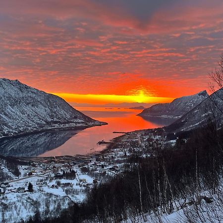 Leilighet I Rorbu Pa Kaldfarnes - Yttersia Senja Zewnętrze zdjęcie