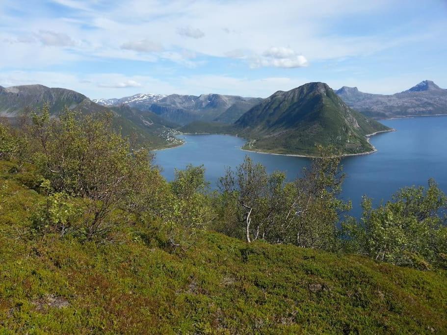 Leilighet I Rorbu Pa Kaldfarnes - Yttersia Senja Zewnętrze zdjęcie