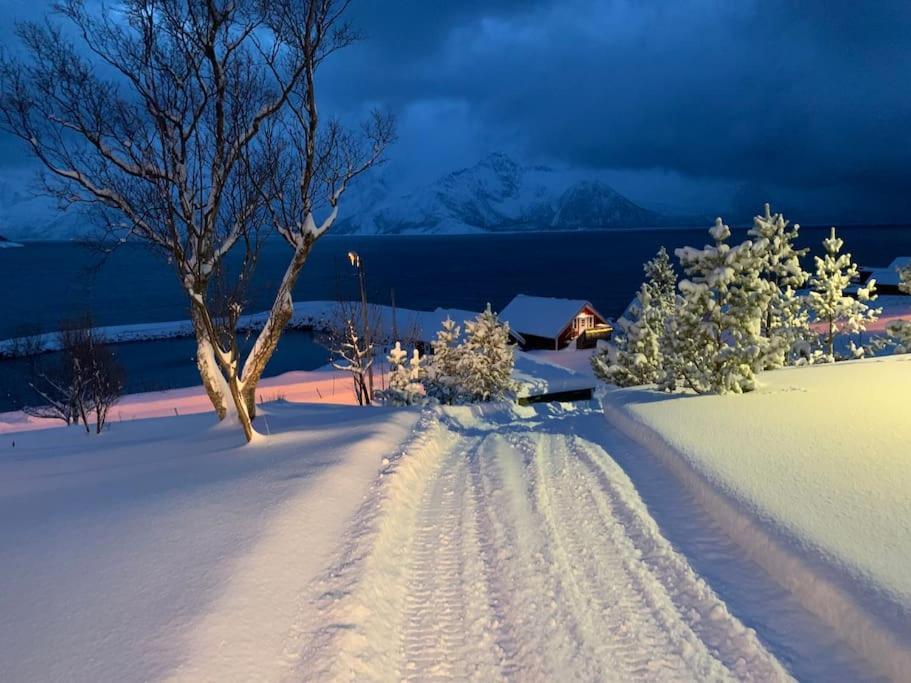 Leilighet I Rorbu Pa Kaldfarnes - Yttersia Senja Zewnętrze zdjęcie