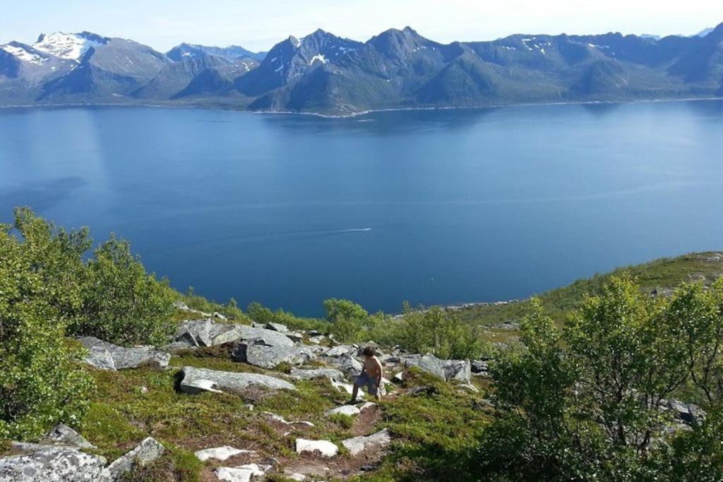 Leilighet I Rorbu Pa Kaldfarnes - Yttersia Senja Zewnętrze zdjęcie